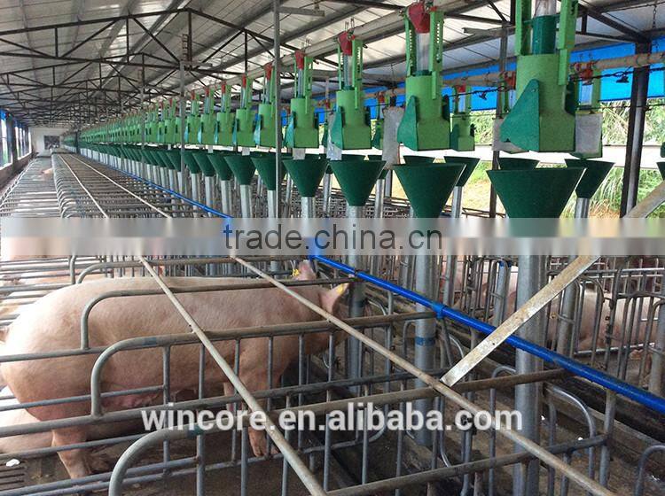 New Products Low Cost High Output Pig Feeding Equipment