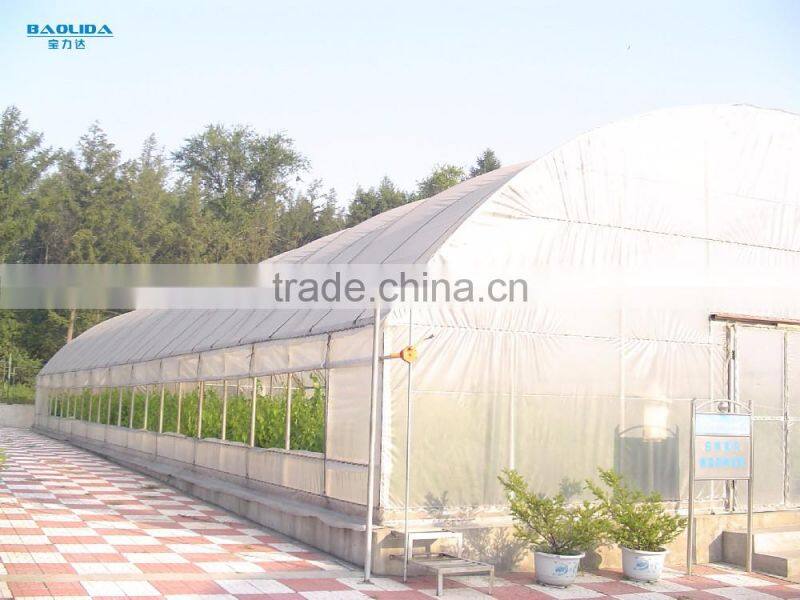 China greenhouse roof panels