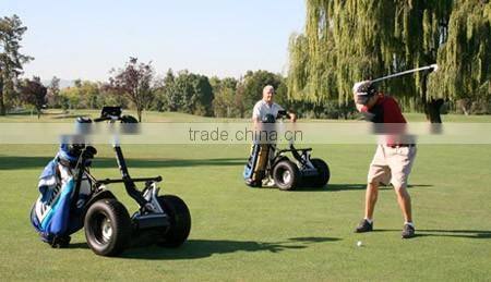 Leadway one wheel electric motorcycle scooter chinese snowmobile(W5l+ 607a)