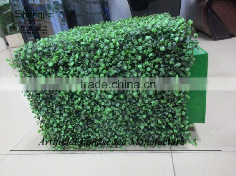 Indoor artificial plastic boxwood hedge for decoration