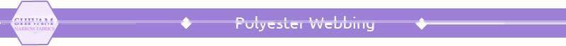 Top Quality Mattress Polyester Webbing Tape