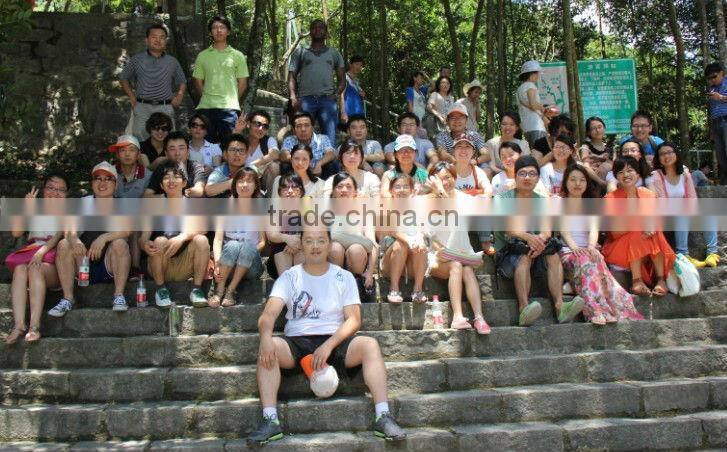 100% High Quality Nylon Jacquard lace designs