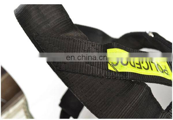 Pet head traction band pet strap band factory