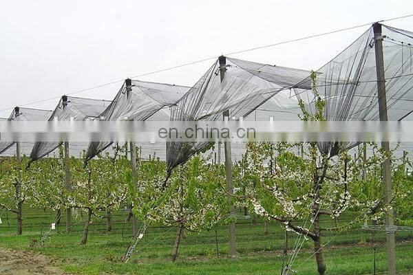 China factory wholesale plastic anti hail and insect net mesh plant covers for greenhouse