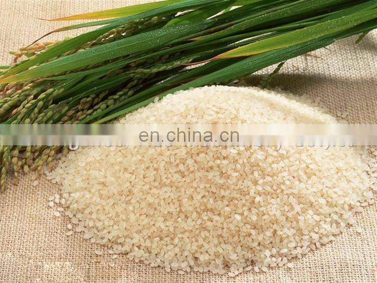 Industrial rice milling and hulling machine | rice miller and peeler machine