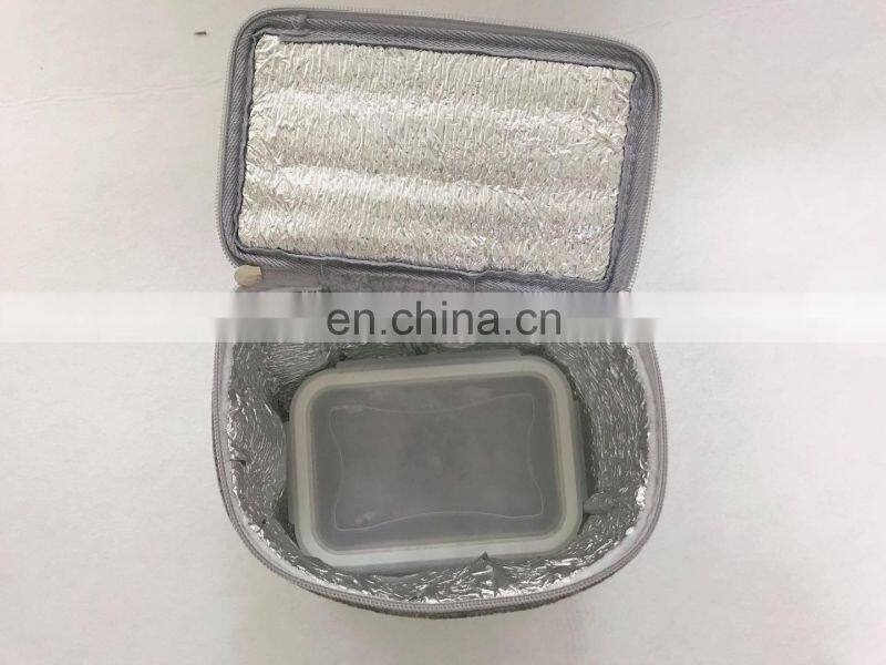 High Quality Felt Material Outdoor Picnic Lunch Bag