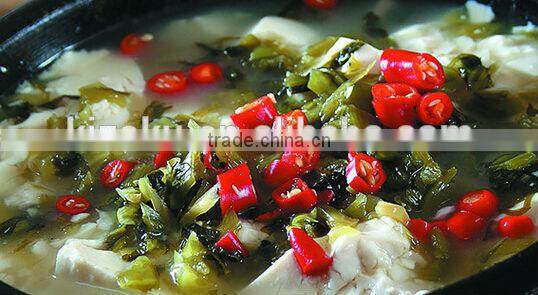 The chinasales protable l home Electric Blender&practical and valuable Mixer