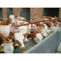 hay cutting machine for cattle feed grass crusher machine grain crusher machine