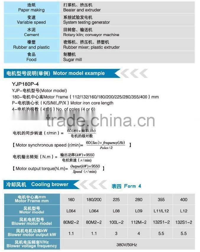 tubular motor Motor outboard motor DC Motor Y Series 6KV Squirrel Cage High Voltage three phase asynchronous motor (355-630)mm)