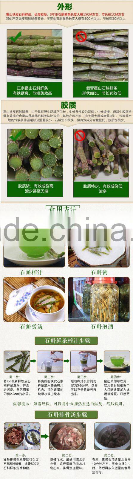 High Quality Dendrobium chrysanthum