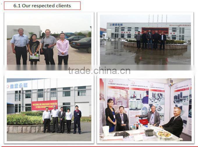 Ring Alnico Magnet for Motor