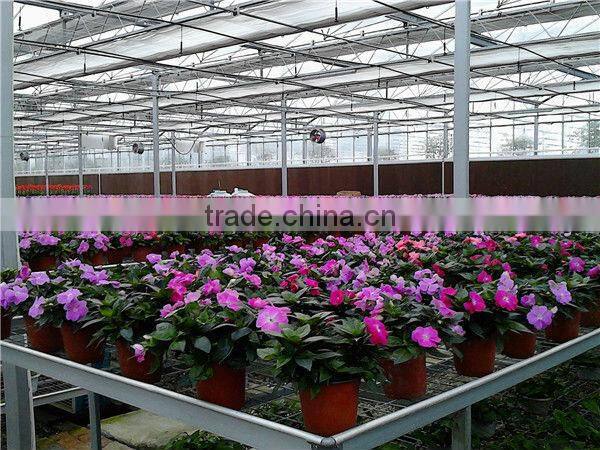 8mm galvanized steel polycarbonate greenhouse