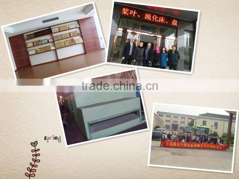 Mesh belt dryer for eggplant