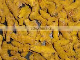 Viet Nam Dry Turmeric