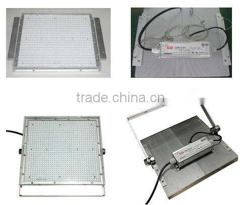 Good quality 60w gas station led canopy explosion proof lights