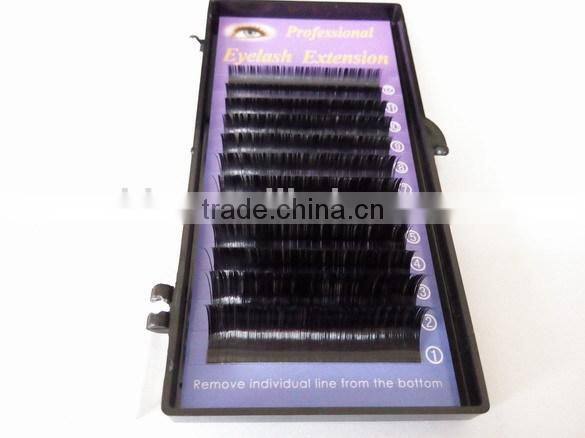 Ellipse Flat Lash volume lash with thicker and bolder look