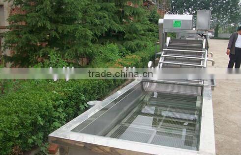 Hot sale Potato washing machine for washing manufacture