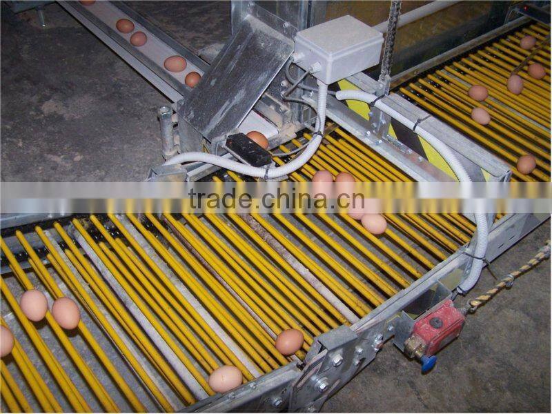 Africa Market Nigeria Farm Use Best Price Pullet Rearing Cage for one day old chicks