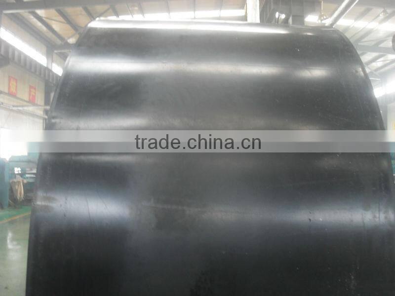 COMMON CONVEYOR BELT