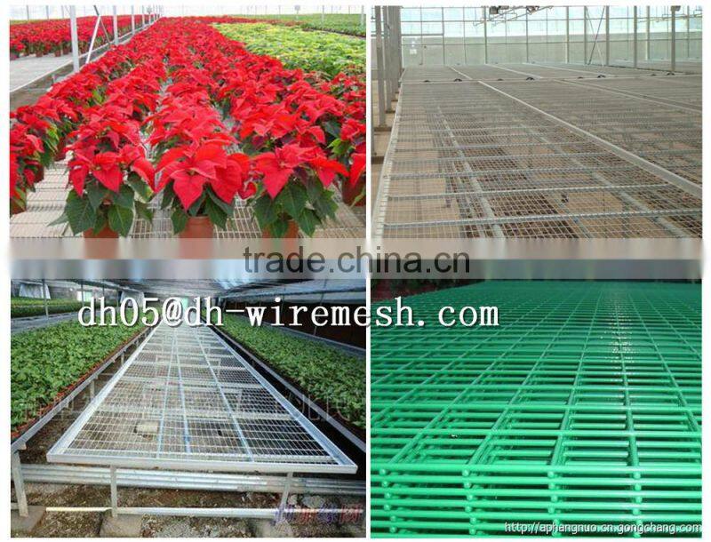 Wholesale 4x4 Galvanized Welded Wire Mesh , cheap Welded Wire Mesh Panel for sale