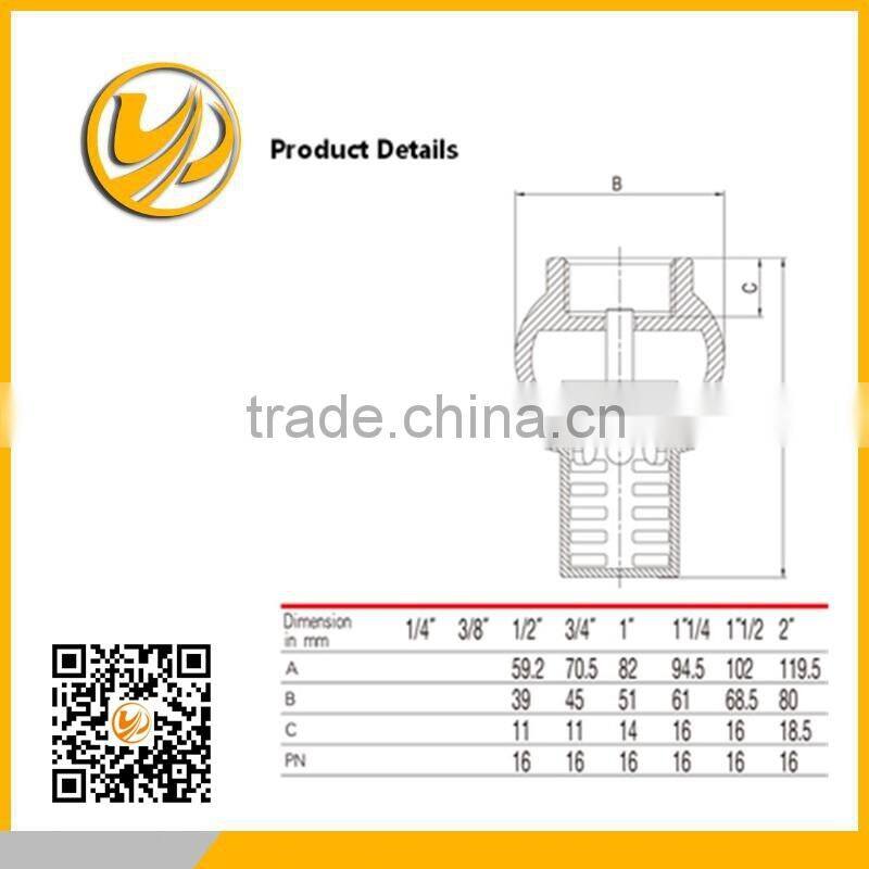 foot valve/ check valve/ brass foot valve check valve