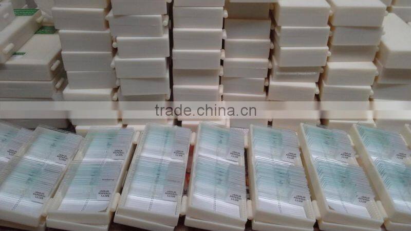 College and University Preparation Human Educational Pathology Slides