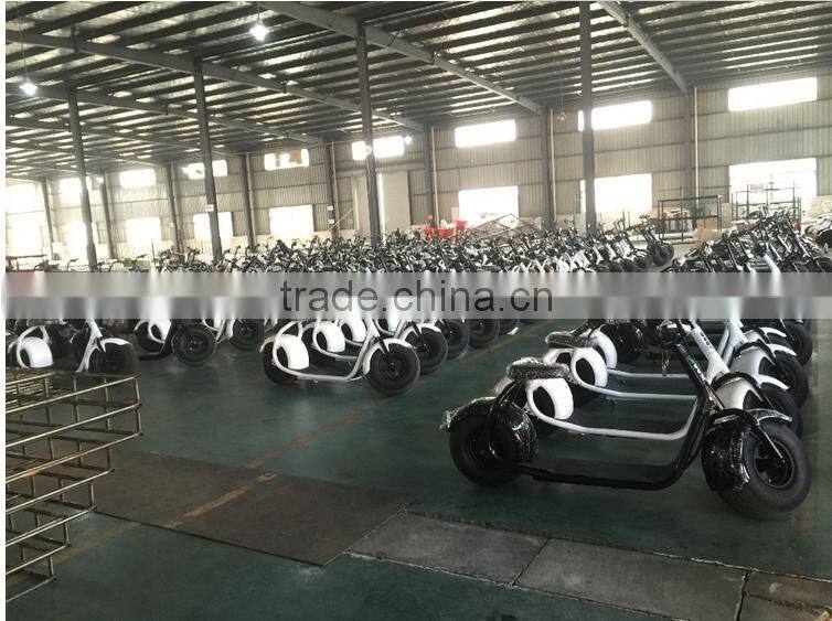 Citycoco adult big wheel fat tire scooter fat scooter big wheel scooter for outdoor