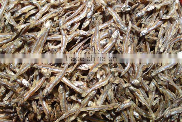 SUPPLIER DRIED SPRATS SILVER LINE EXPORT TO SRILANKA (Email: katherine.vilaconic@ , Viber, Whatsapp: +841687264621)