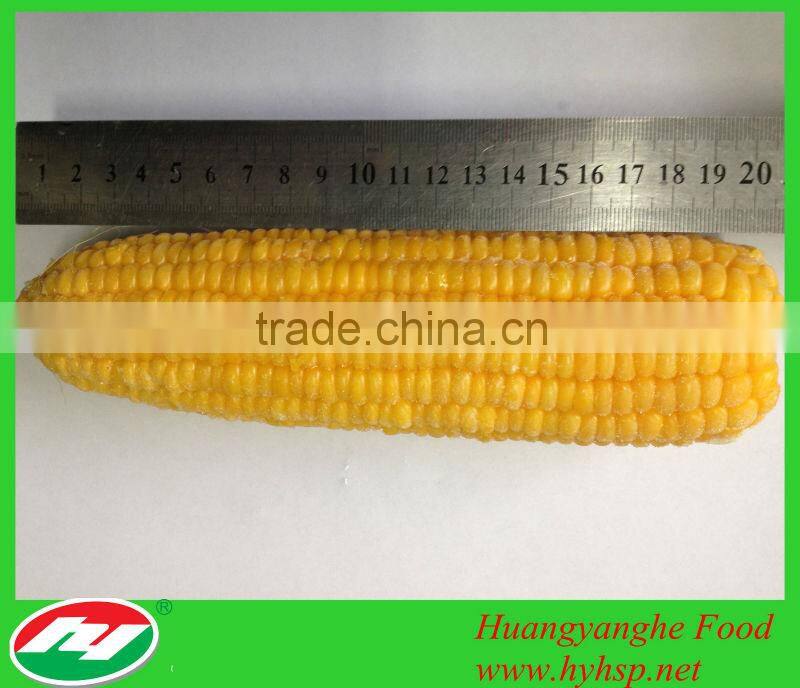 IQF Sweet Corn Cob Fresh Steamed Corn