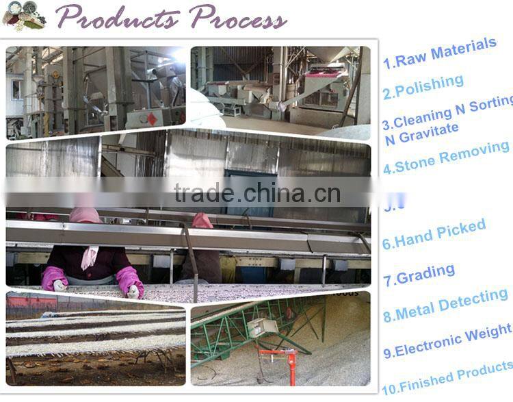 Edible Grade AA pumpkin seeds kernels