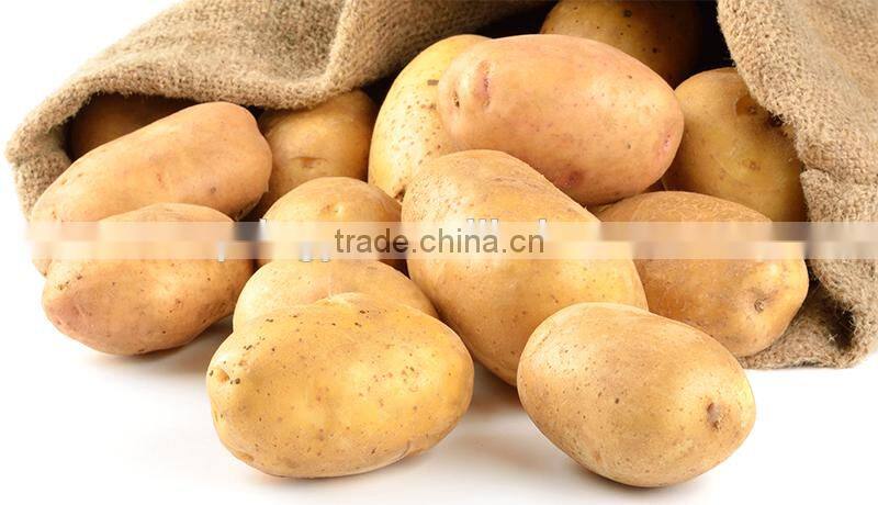 good price organic potato