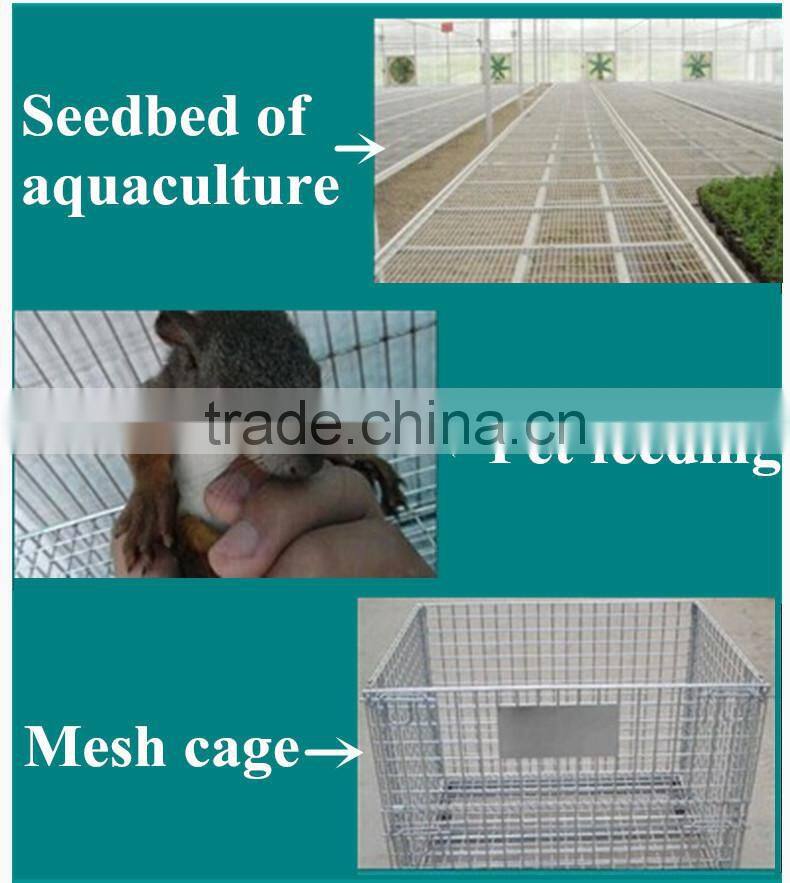 2X2 stainless steel welded wire mesh