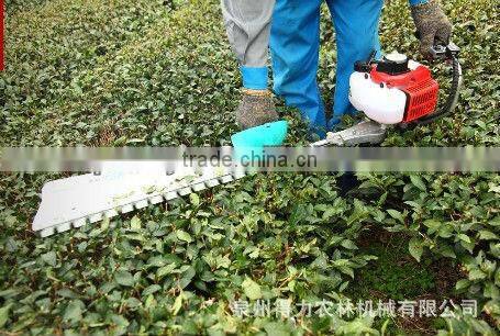 Hand hold hedge trimmer for afforestation of garden and city