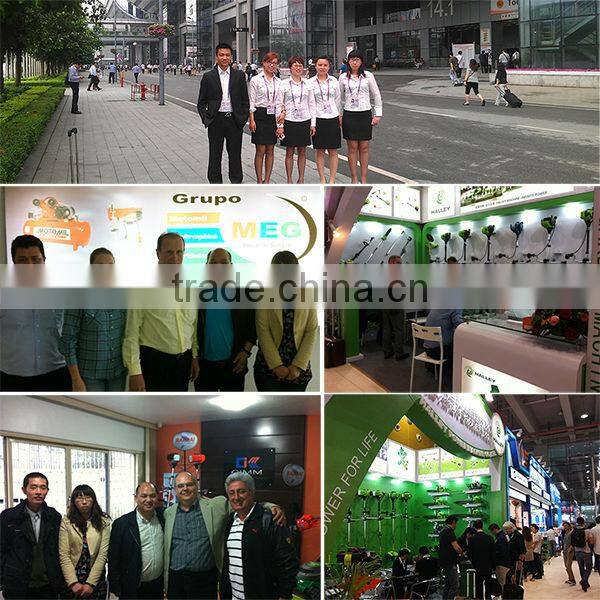 2015 new design wholesale oregon chain saw HLYD-52D