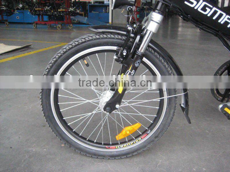 Nice foldable electric bike