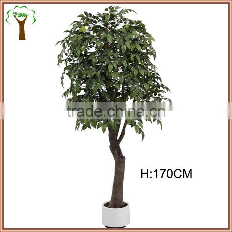 Green artificial carambola fruits tree for man-made landscape