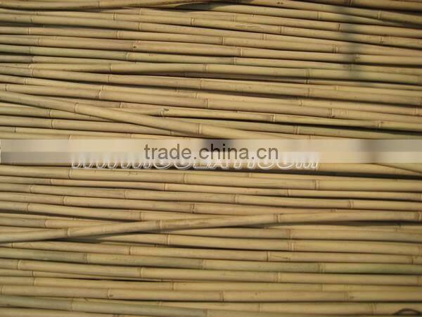 Tonkin bamboo canes LOW PRICE