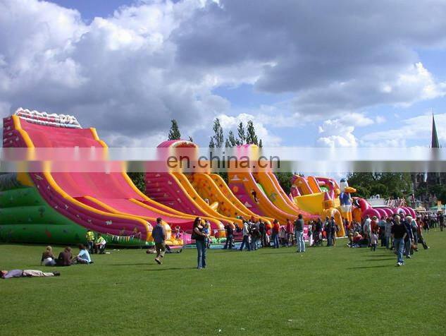 All kinds of giant inflatable water slide/water park for sale