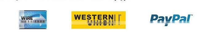 High Performance Cranshaft Position Sensor 23731-EN215