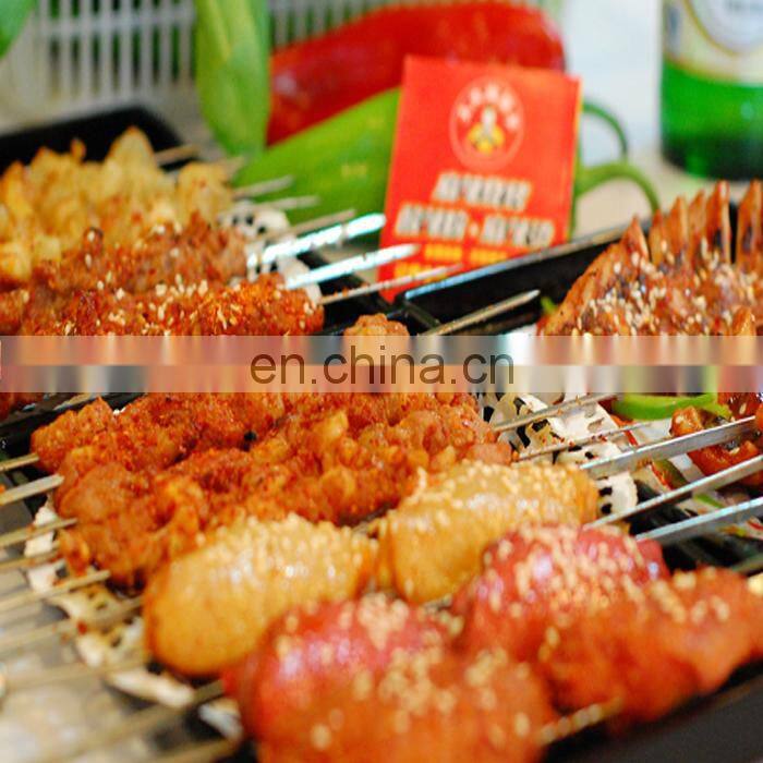 Stainless Steel Camping Barbecue Grill/Barbecue Gas Grill for sell