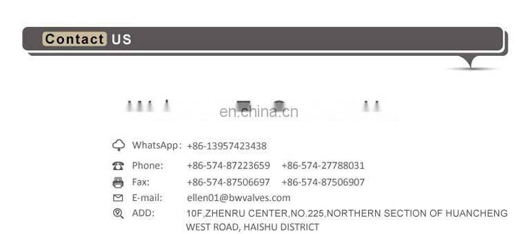 Forged Zinc Handle Brass Angle Valve