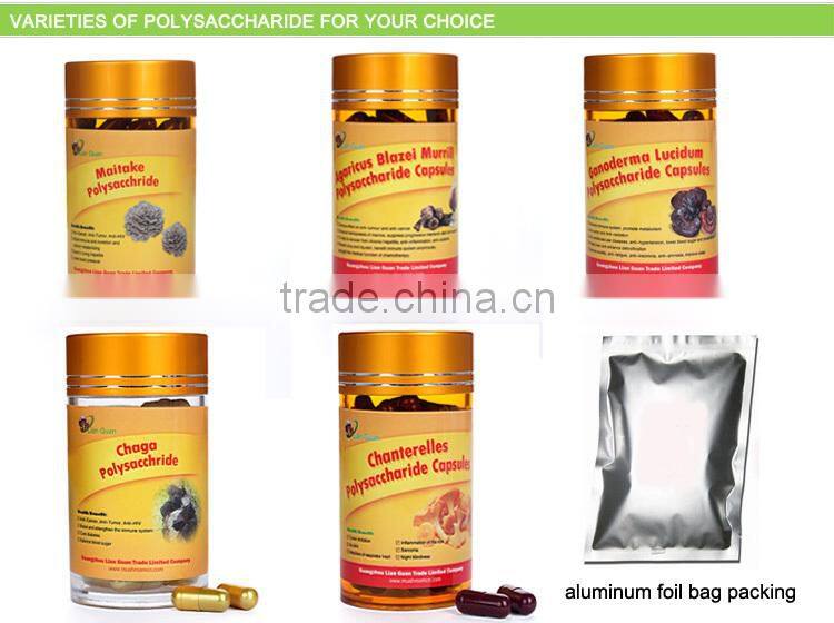Herbal Supplements Type powder dosage form wild chaga chucks extract powder
