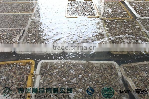 New Produce Frozen Hard Clam with Shell in Good Quality