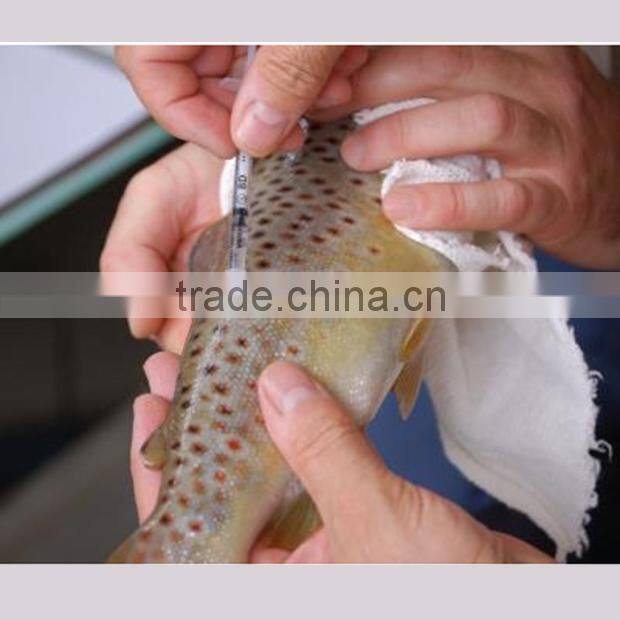 Alibaba china design 125khz magnetic card dual card