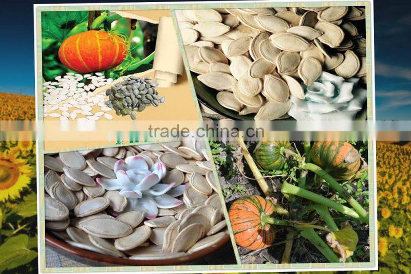 Low Price Shine Skin Pumpkin Seeds 2015 New Crops