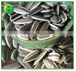 2015 New Crop Shine Skin Pumpkin Seeds price