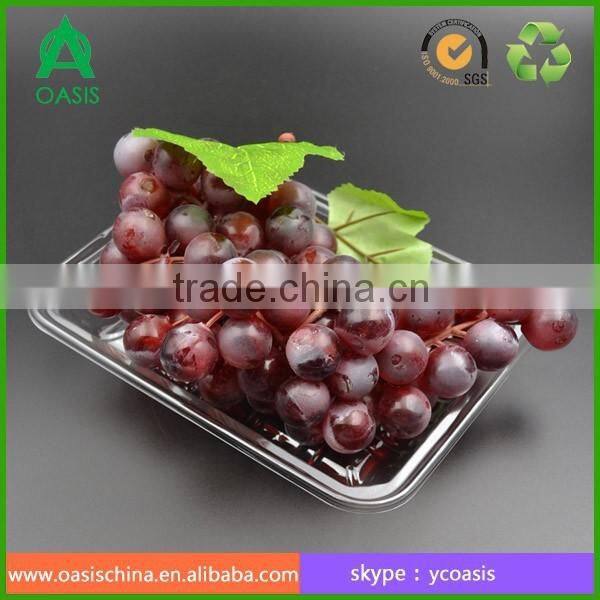 Disposible plastic food PET tray/strawberry/blueberry clamshell tray 16*16 cm