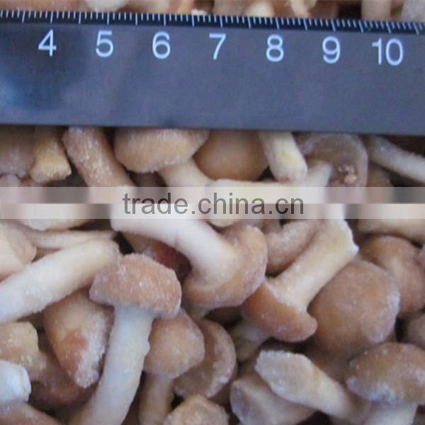 High Quality Top Quality Frozen Fresh Nameko