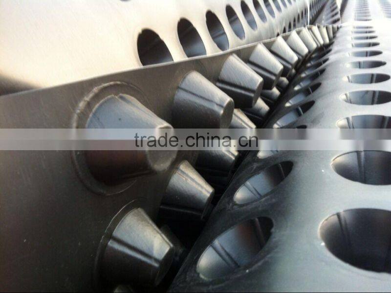 hdpe sheet dimple drain board/ dimple Drain board