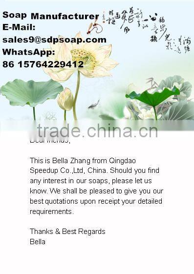 Z0168 Transparent Solid Form High Quality Cheap Price Glycerine Hand Soap